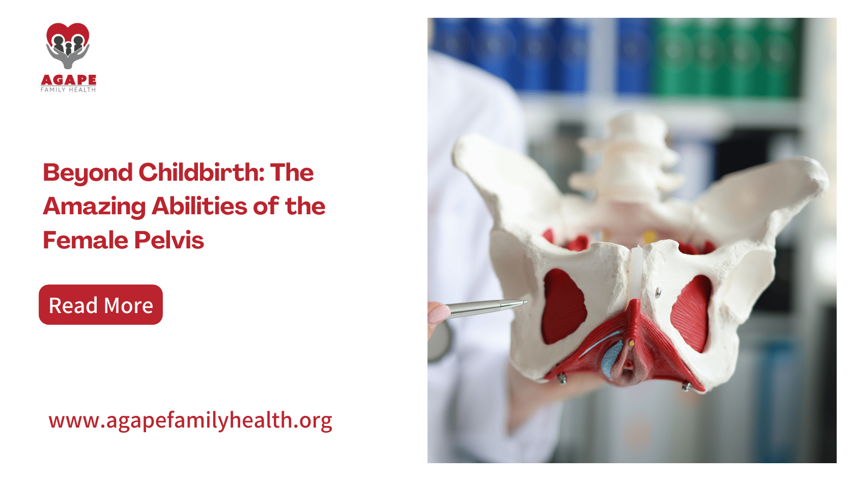 Beyond Childbirth_ The Amazing Abilities of the Female Pelvis - Blog banner