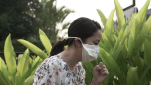 Common Spring Allergies - air allergy