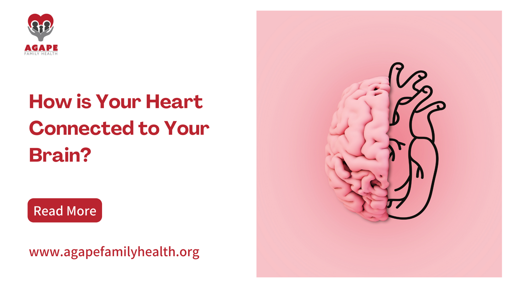 heart and brain connection - blog banner